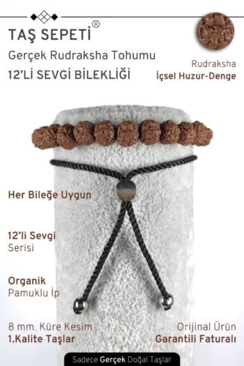 12'li Mutlak Sevgi Serisi Gerçek Rudraksha Tohumu Unisex Ayarlı Bereket Bilekliği