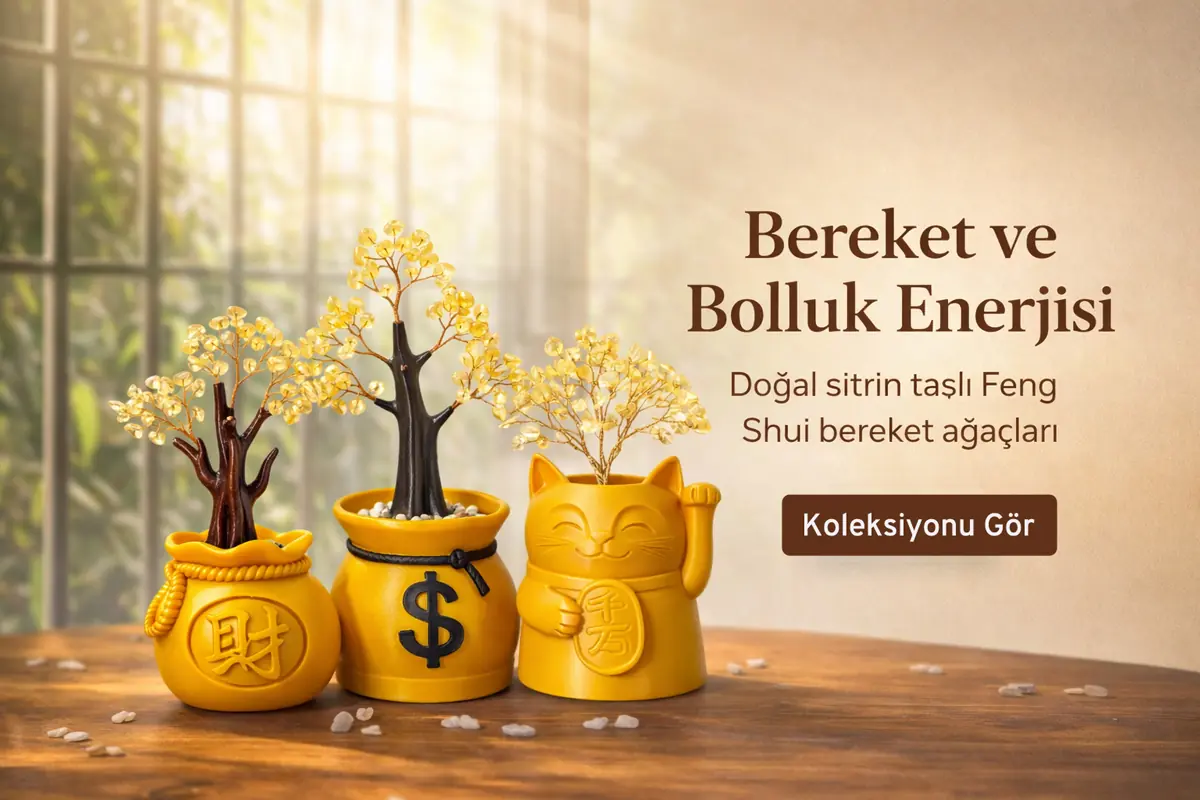 Bereket ve bolluk enerjisi banner